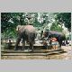 0134_Elefant Washing.JPG